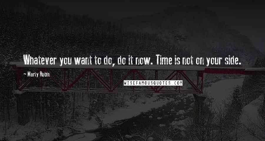 Marty Rubin Quotes: Whatever you want to do, do it now. Time is not on your side.