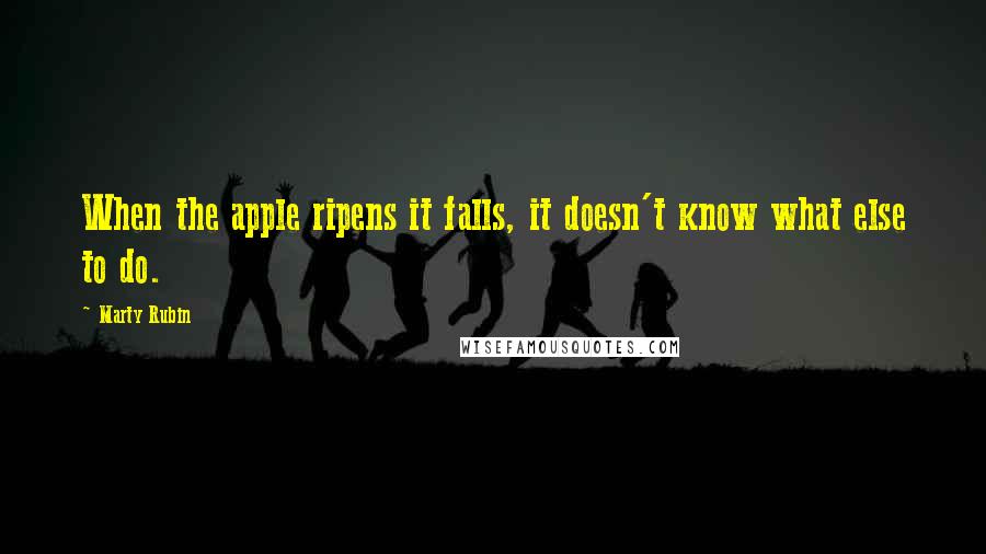 Marty Rubin Quotes: When the apple ripens it falls, it doesn't know what else to do.