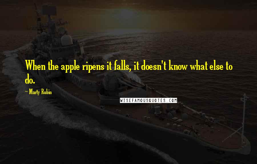 Marty Rubin Quotes: When the apple ripens it falls, it doesn't know what else to do.
