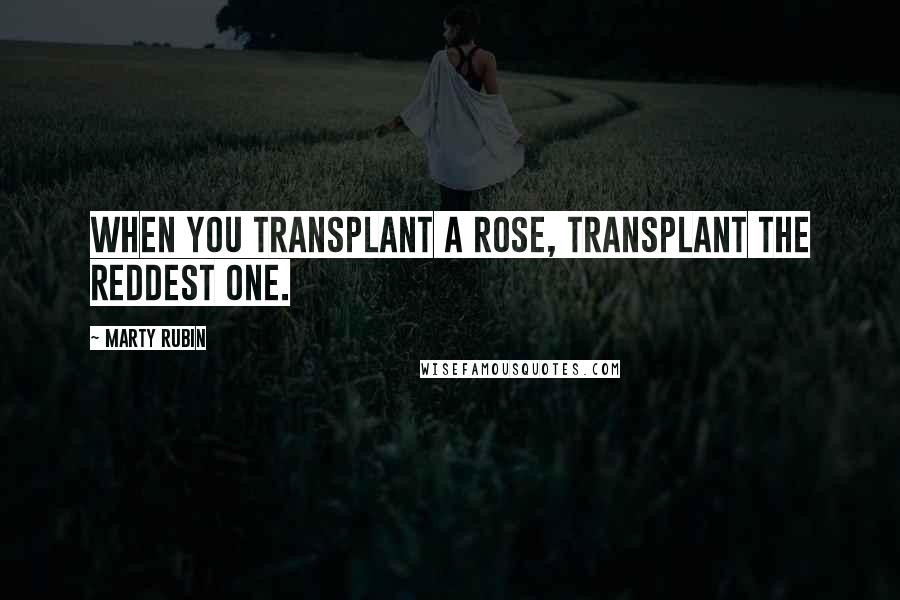 Marty Rubin Quotes: When you transplant a rose, transplant the reddest one.