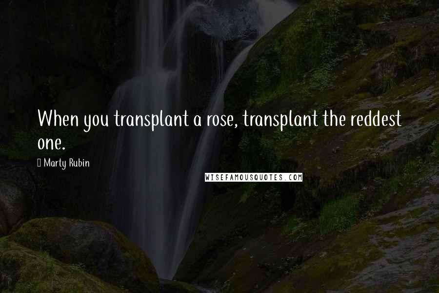 Marty Rubin Quotes: When you transplant a rose, transplant the reddest one.