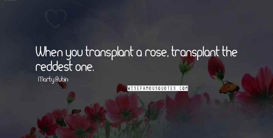Marty Rubin Quotes: When you transplant a rose, transplant the reddest one.