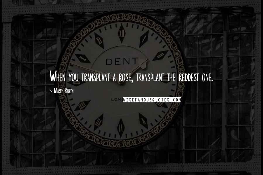 Marty Rubin Quotes: When you transplant a rose, transplant the reddest one.