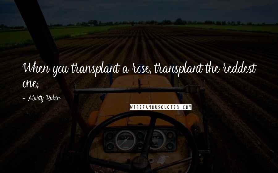 Marty Rubin Quotes: When you transplant a rose, transplant the reddest one.