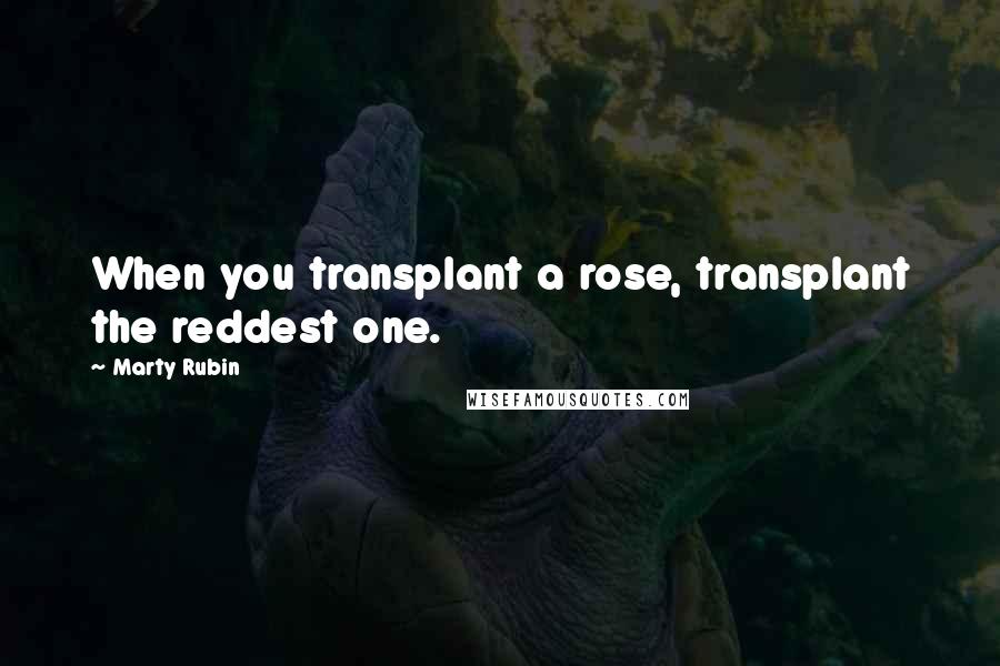 Marty Rubin Quotes: When you transplant a rose, transplant the reddest one.