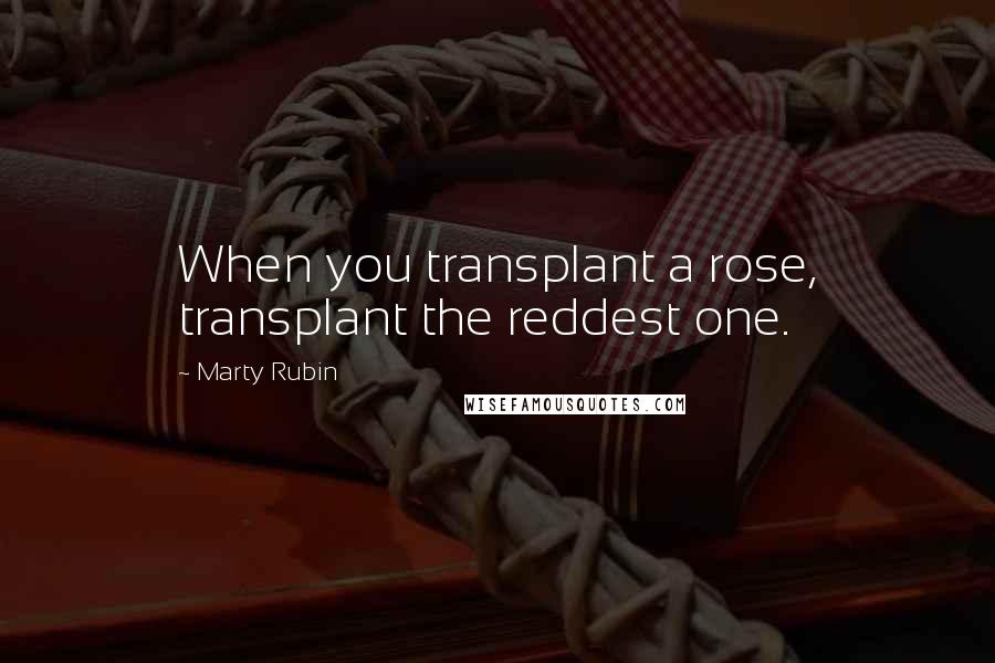 Marty Rubin Quotes: When you transplant a rose, transplant the reddest one.