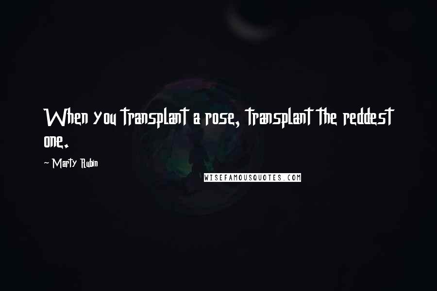 Marty Rubin Quotes: When you transplant a rose, transplant the reddest one.