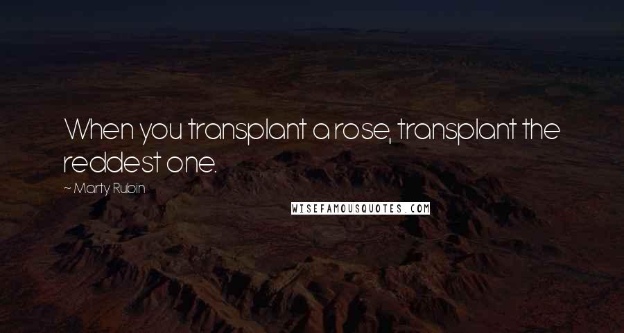 Marty Rubin Quotes: When you transplant a rose, transplant the reddest one.