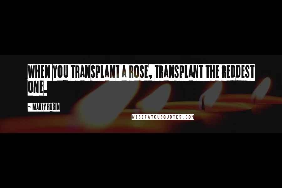 Marty Rubin Quotes: When you transplant a rose, transplant the reddest one.