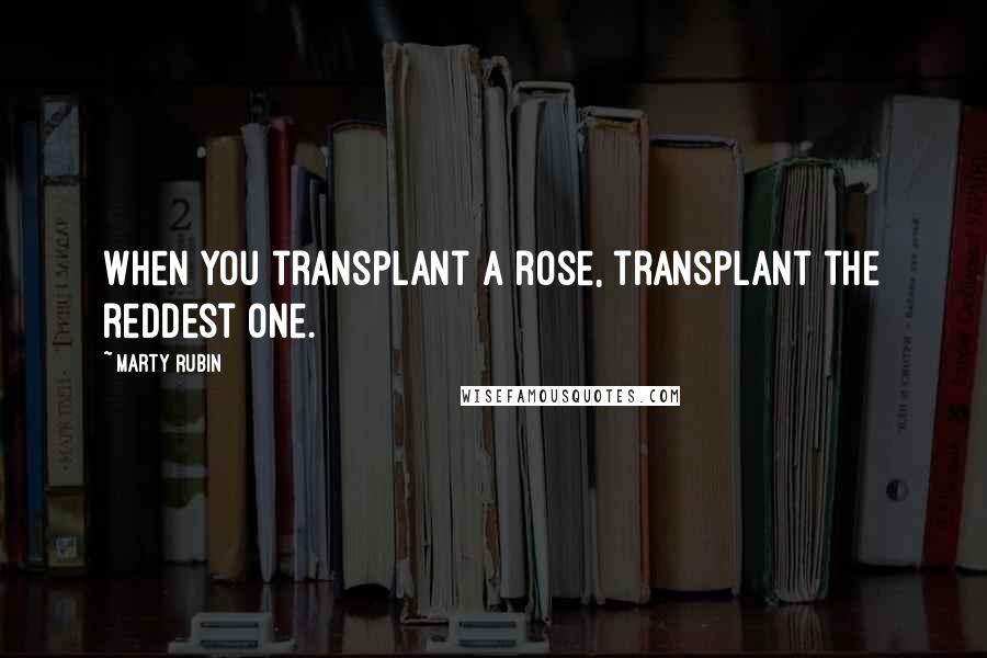 Marty Rubin Quotes: When you transplant a rose, transplant the reddest one.