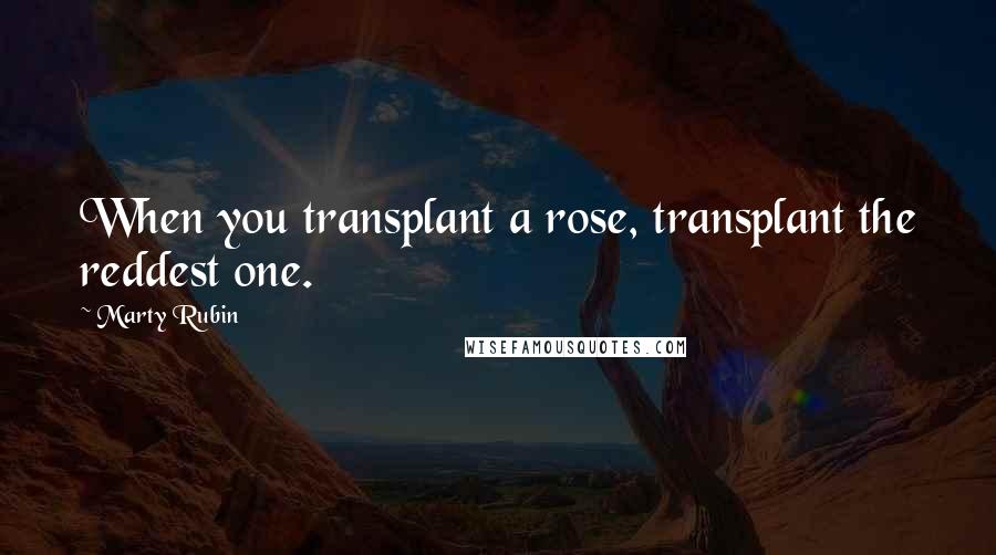 Marty Rubin Quotes: When you transplant a rose, transplant the reddest one.