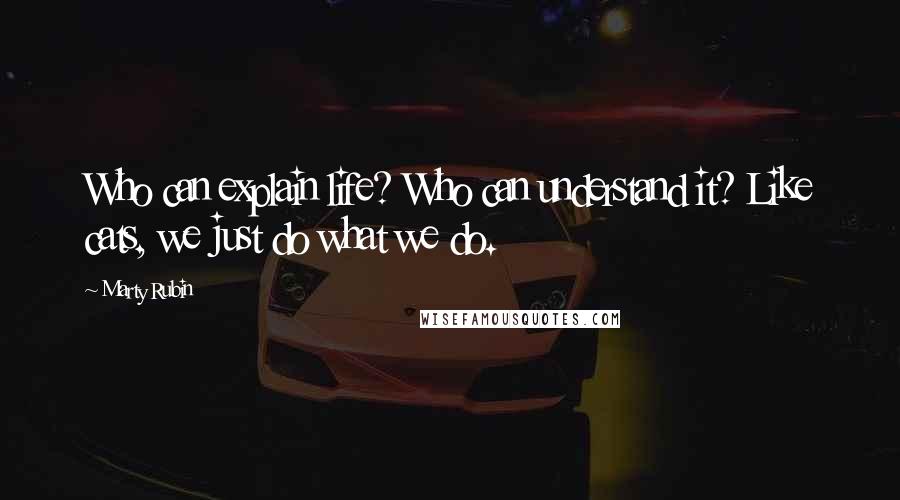 Marty Rubin Quotes: Who can explain life? Who can understand it? Like cats, we just do what we do.