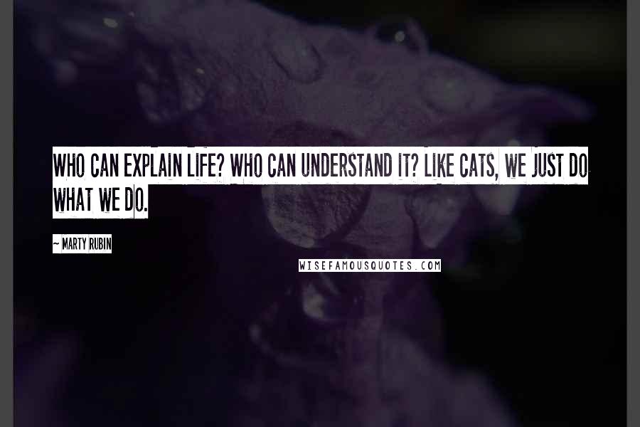 Marty Rubin Quotes: Who can explain life? Who can understand it? Like cats, we just do what we do.