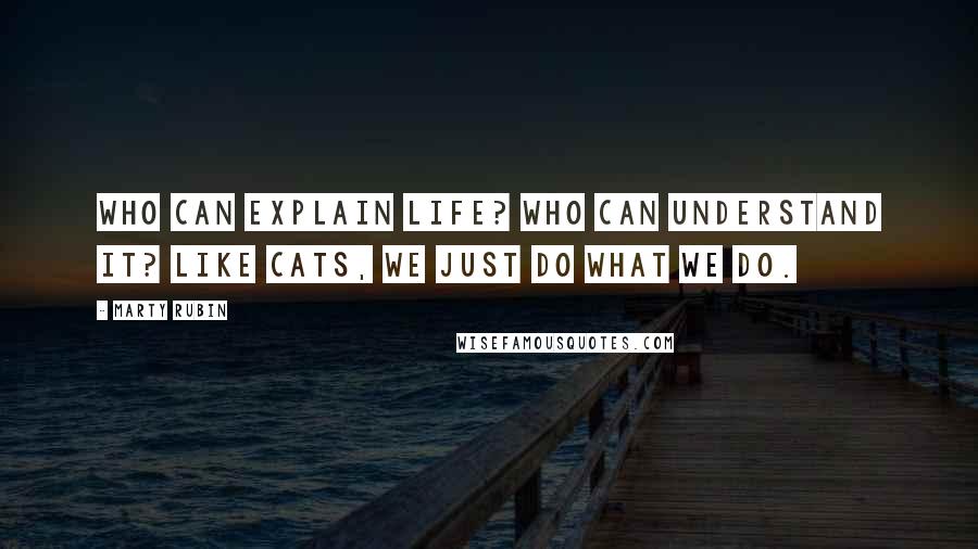 Marty Rubin Quotes: Who can explain life? Who can understand it? Like cats, we just do what we do.