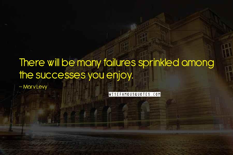 Marv Levy Quotes: There will be many failures sprinkled among the successes you enjoy.