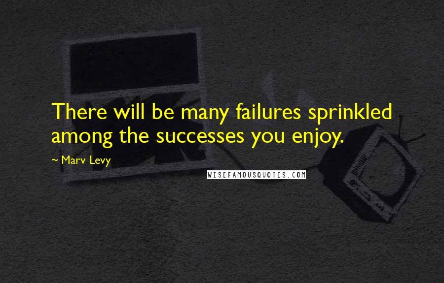 Marv Levy Quotes: There will be many failures sprinkled among the successes you enjoy.