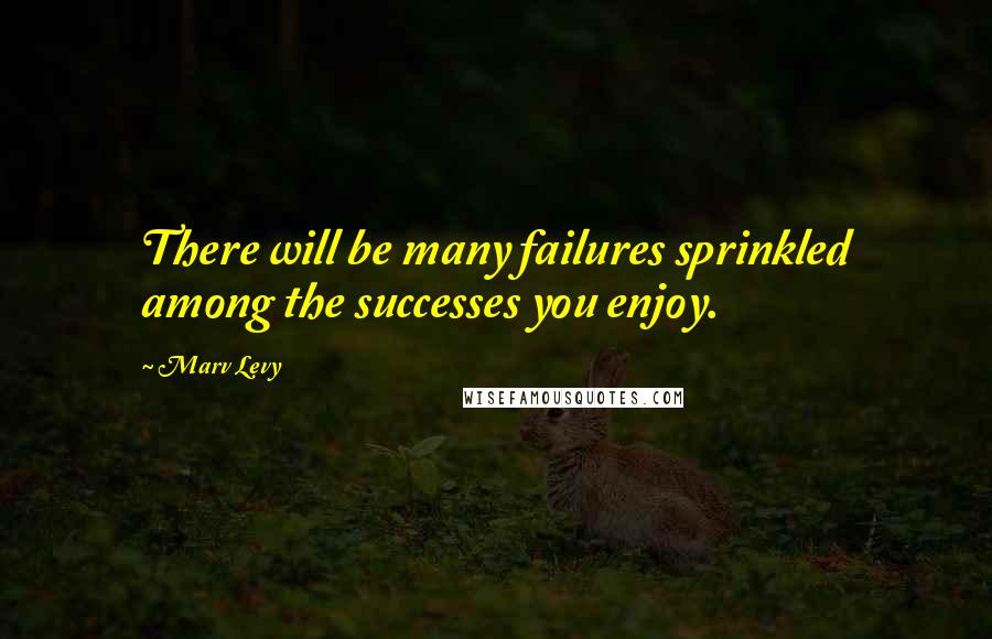 Marv Levy Quotes: There will be many failures sprinkled among the successes you enjoy.