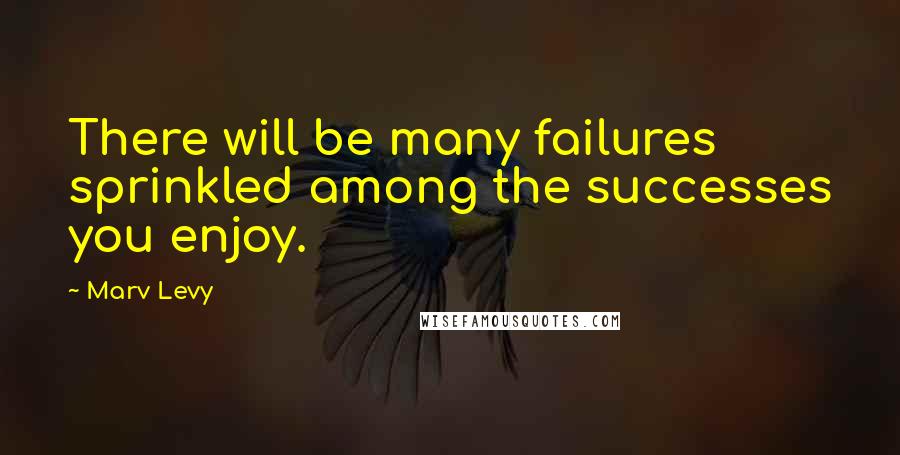 Marv Levy Quotes: There will be many failures sprinkled among the successes you enjoy.