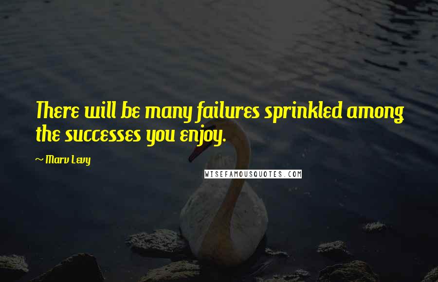 Marv Levy Quotes: There will be many failures sprinkled among the successes you enjoy.