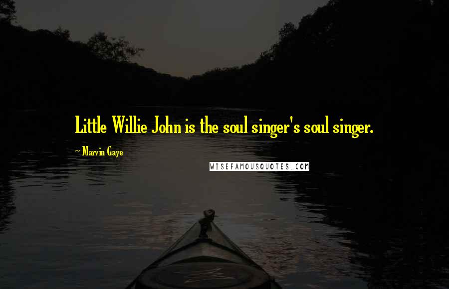 Marvin Gaye Quotes: Little Willie John is the soul singer's soul singer.