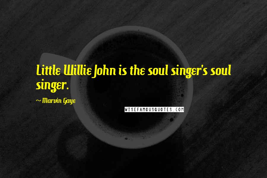 Marvin Gaye Quotes: Little Willie John is the soul singer's soul singer.