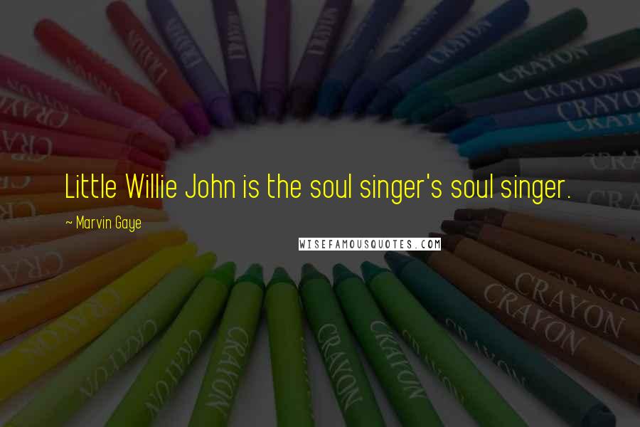 Marvin Gaye Quotes: Little Willie John is the soul singer's soul singer.