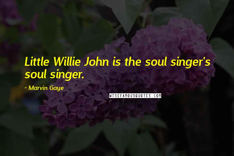 Marvin Gaye Quotes: Little Willie John is the soul singer's soul singer.