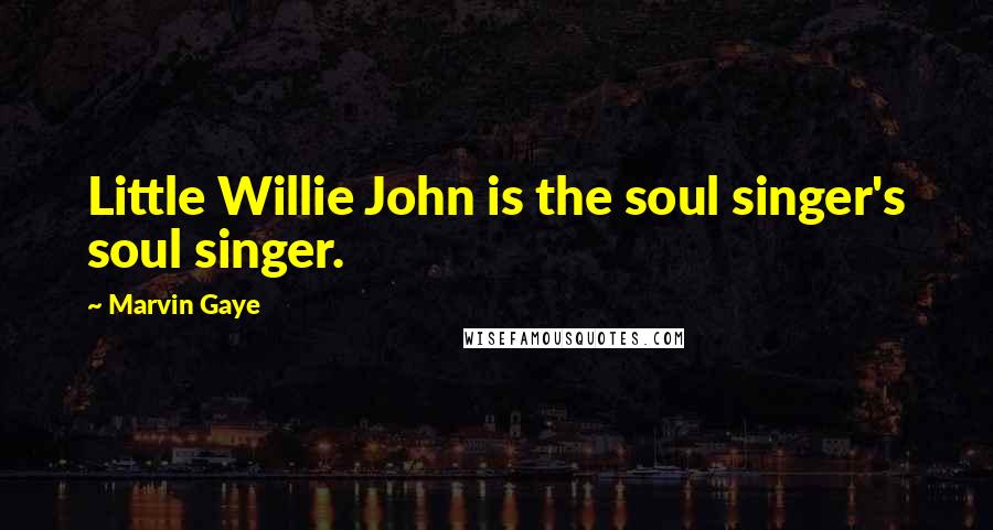 Marvin Gaye Quotes: Little Willie John is the soul singer's soul singer.