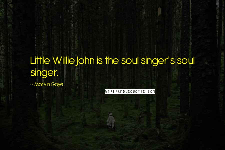 Marvin Gaye Quotes: Little Willie John is the soul singer's soul singer.