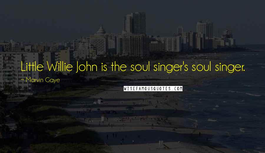 Marvin Gaye Quotes: Little Willie John is the soul singer's soul singer.