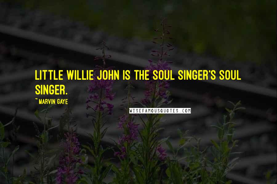 Marvin Gaye Quotes: Little Willie John is the soul singer's soul singer.