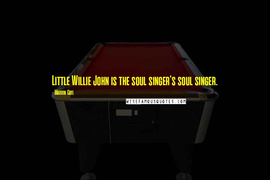 Marvin Gaye Quotes: Little Willie John is the soul singer's soul singer.