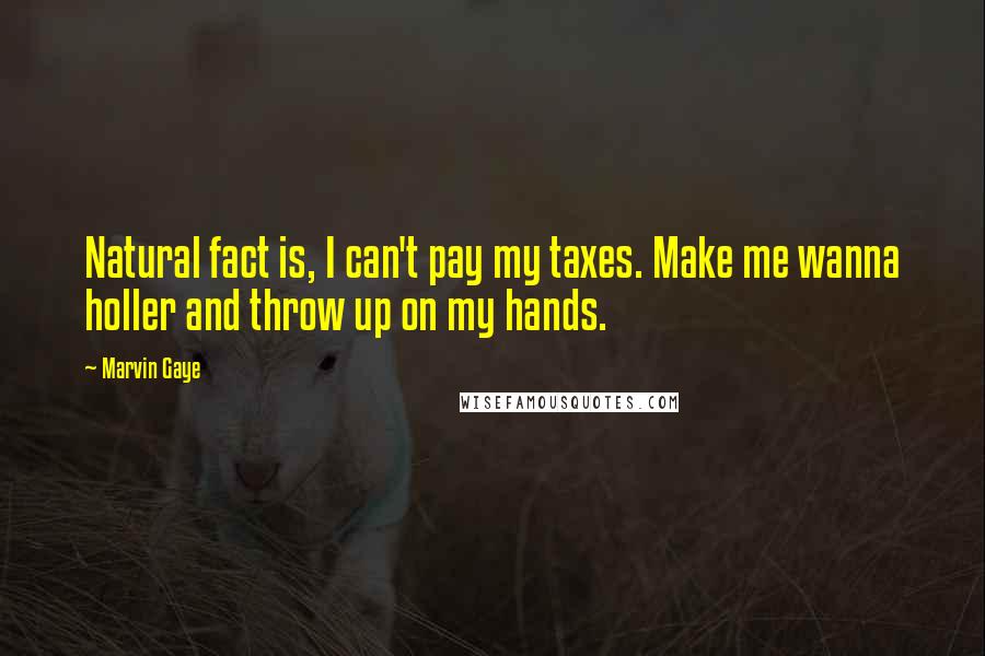 Marvin Gaye Quotes: Natural fact is, I can't pay my taxes. Make me wanna holler and throw up on my hands.