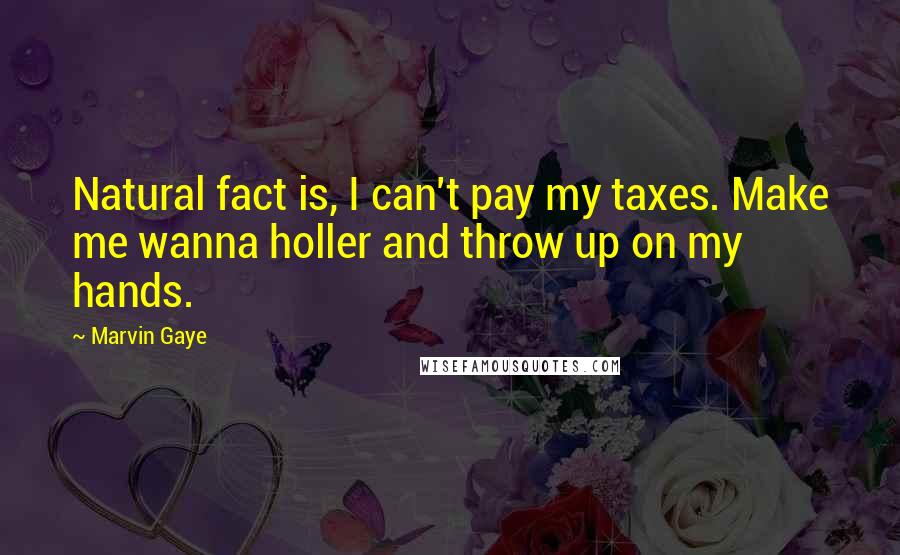 Marvin Gaye Quotes: Natural fact is, I can't pay my taxes. Make me wanna holler and throw up on my hands.