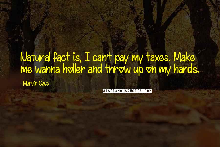 Marvin Gaye Quotes: Natural fact is, I can't pay my taxes. Make me wanna holler and throw up on my hands.