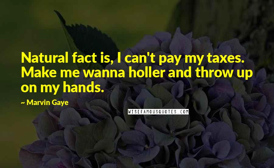 Marvin Gaye Quotes: Natural fact is, I can't pay my taxes. Make me wanna holler and throw up on my hands.