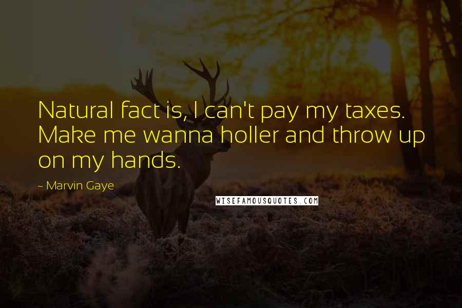 Marvin Gaye Quotes: Natural fact is, I can't pay my taxes. Make me wanna holler and throw up on my hands.