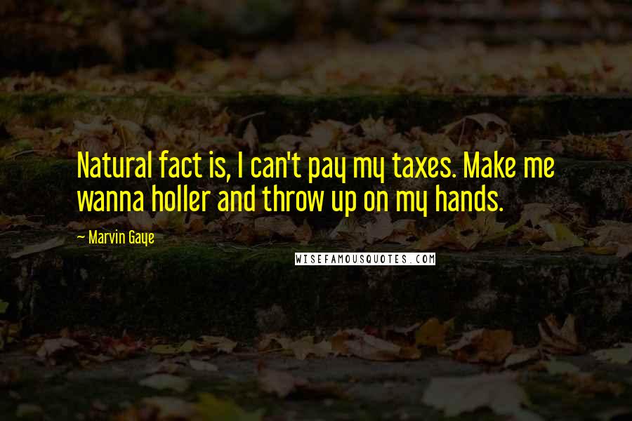 Marvin Gaye Quotes: Natural fact is, I can't pay my taxes. Make me wanna holler and throw up on my hands.