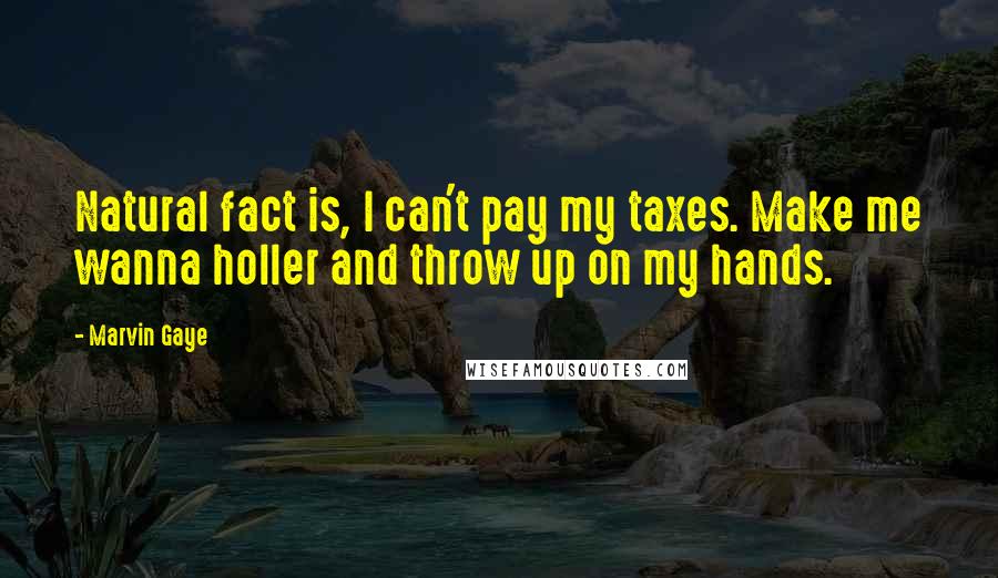 Marvin Gaye Quotes: Natural fact is, I can't pay my taxes. Make me wanna holler and throw up on my hands.