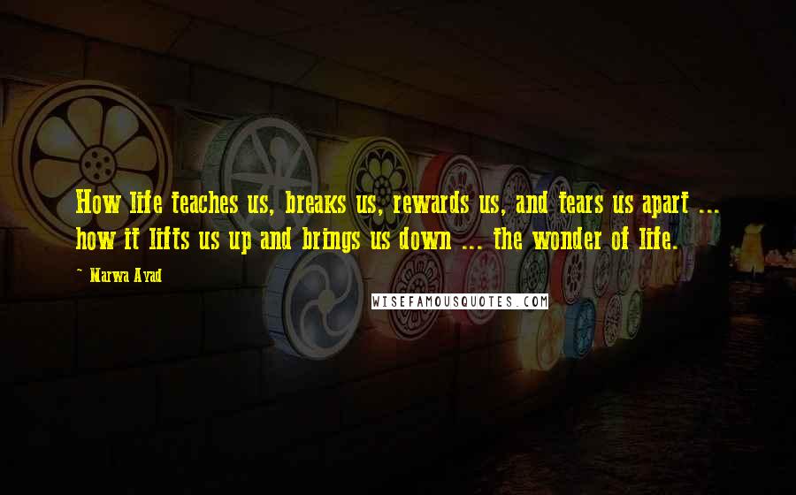 Marwa Ayad Quotes: How life teaches us, breaks us, rewards us, and tears us apart ... how it lifts us up and brings us down ... the wonder of life.