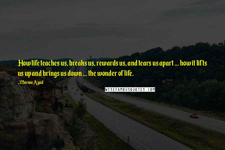 Marwa Ayad Quotes: How life teaches us, breaks us, rewards us, and tears us apart ... how it lifts us up and brings us down ... the wonder of life.