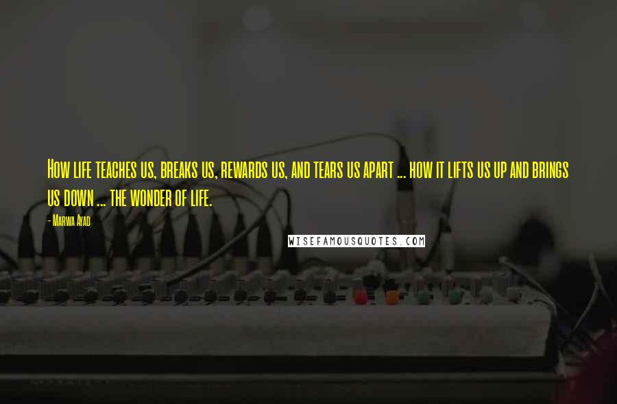 Marwa Ayad Quotes: How life teaches us, breaks us, rewards us, and tears us apart ... how it lifts us up and brings us down ... the wonder of life.