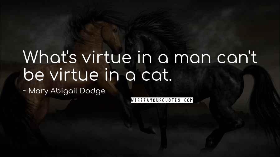 Mary Abigail Dodge Quotes: What's virtue in a man can't be virtue in a cat.