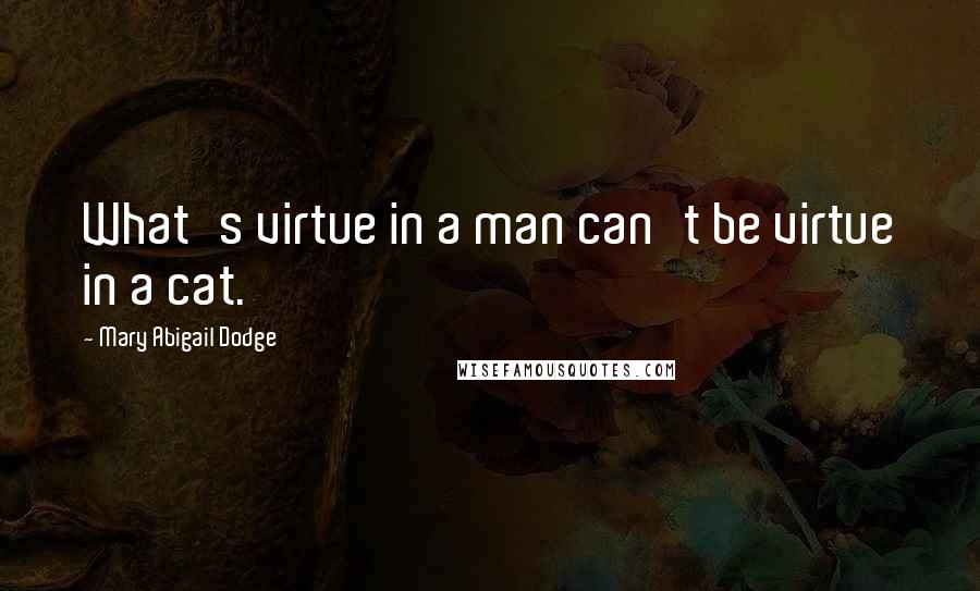 Mary Abigail Dodge Quotes: What's virtue in a man can't be virtue in a cat.