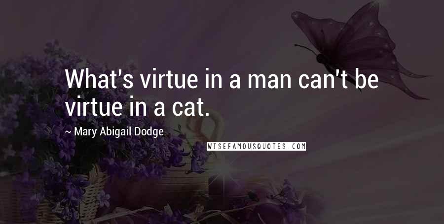 Mary Abigail Dodge Quotes: What's virtue in a man can't be virtue in a cat.