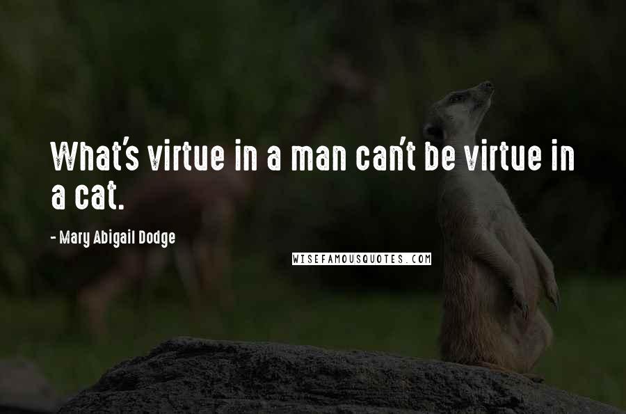 Mary Abigail Dodge Quotes: What's virtue in a man can't be virtue in a cat.