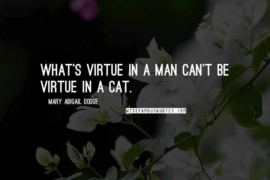 Mary Abigail Dodge Quotes: What's virtue in a man can't be virtue in a cat.