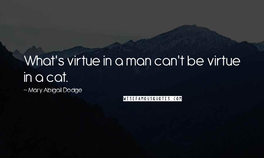 Mary Abigail Dodge Quotes: What's virtue in a man can't be virtue in a cat.