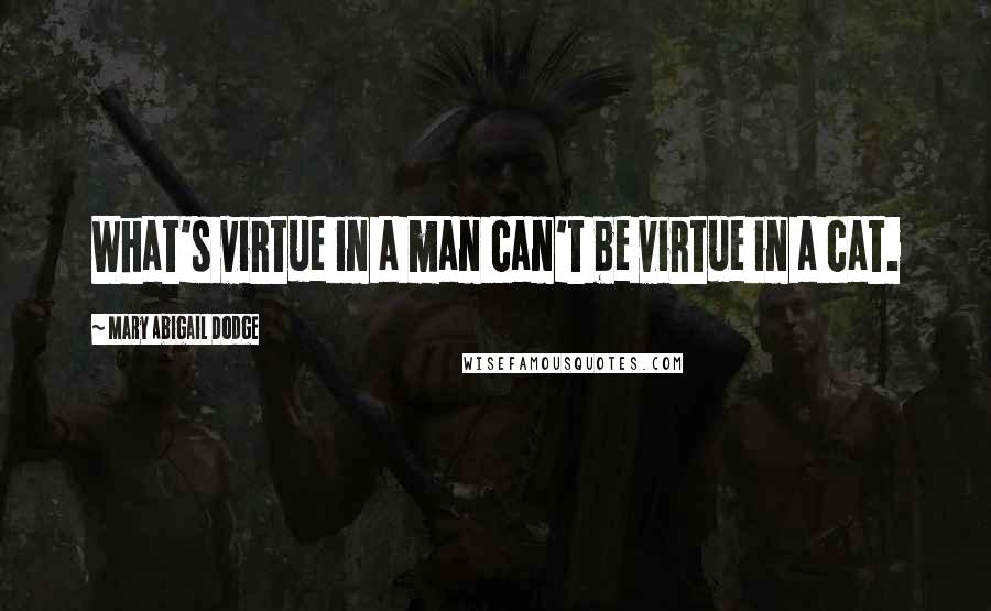 Mary Abigail Dodge Quotes: What's virtue in a man can't be virtue in a cat.