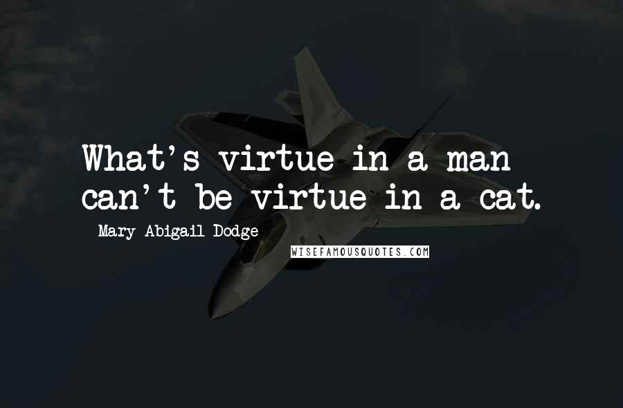 Mary Abigail Dodge Quotes: What's virtue in a man can't be virtue in a cat.